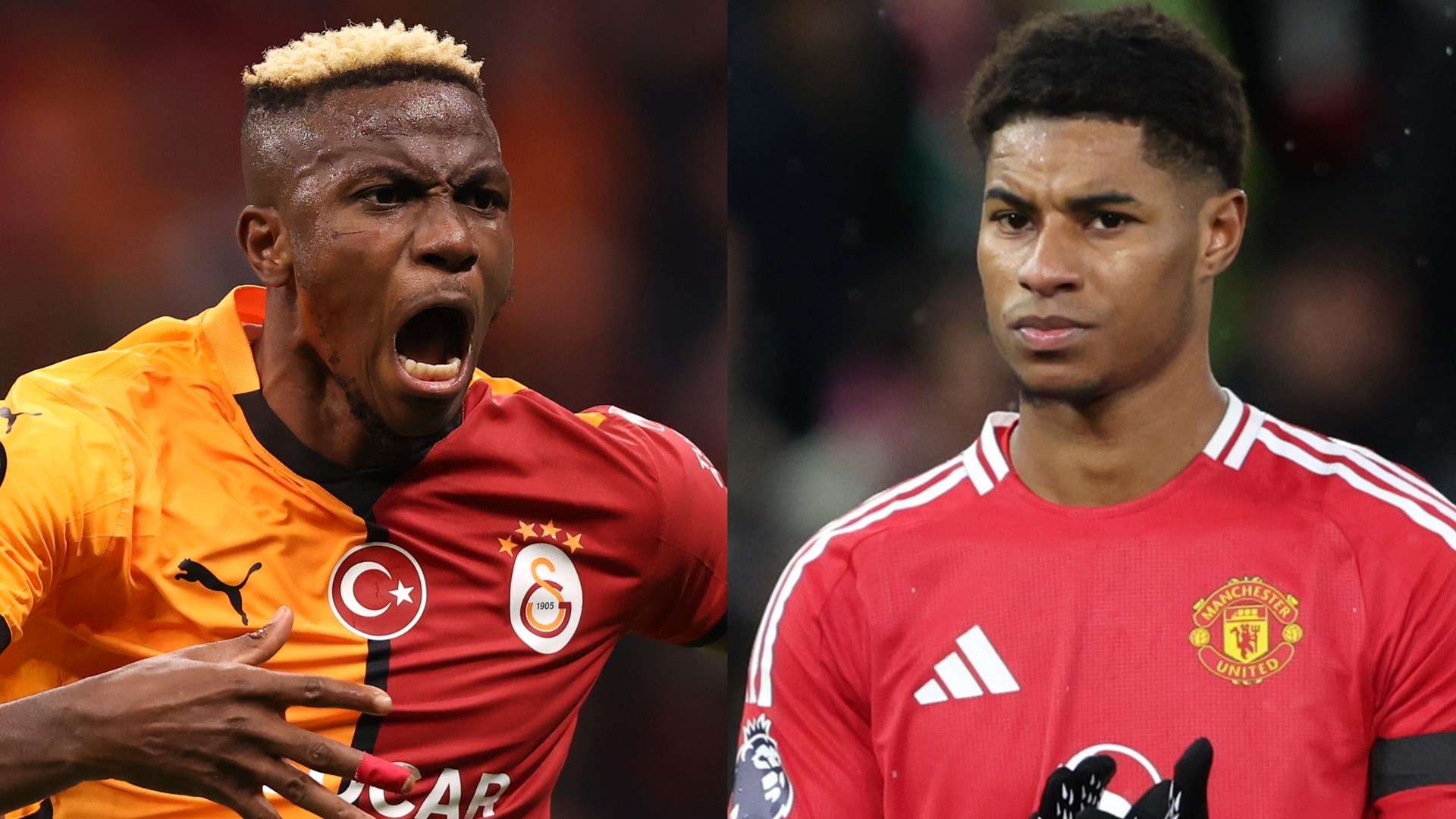 并提升公民 并提升公民